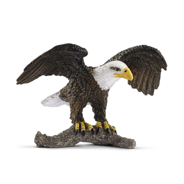 Águila calva americana