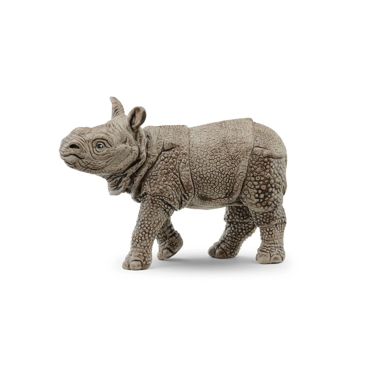 Cría de rinoceronte indio