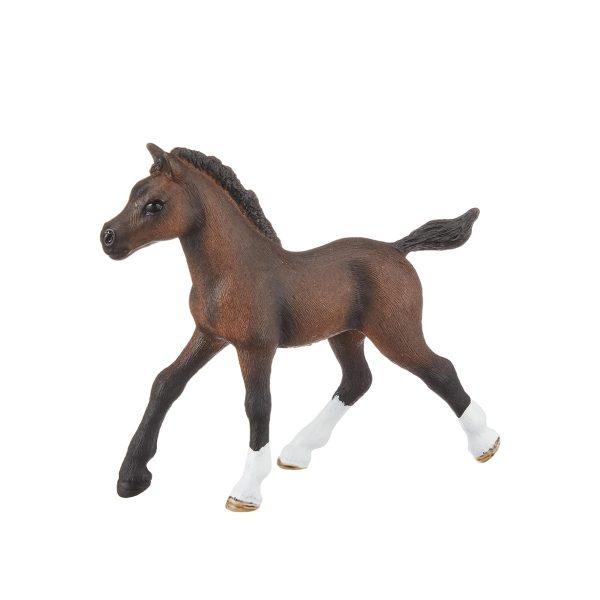 Potro Árabe Marrón schleich 13762