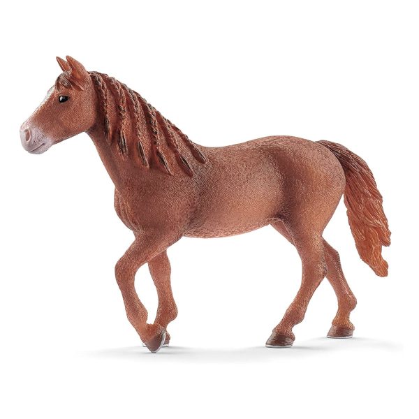 Yegua Morgan schleich 13870