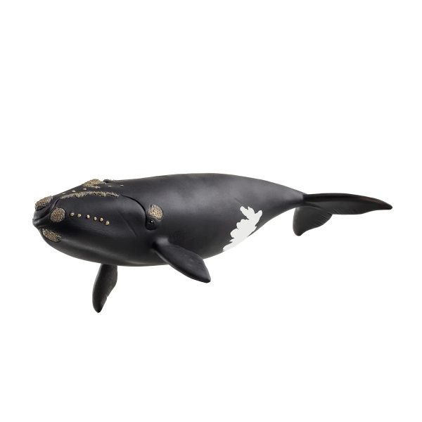 Ballena Franca Glacial schleich 14878