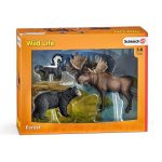 Habitantes del Bosque | Alce, Oso Negro y Mofeta