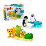 Familias de la Fauna Salvaje: Pingüinos y Leones | Lego Duplo 10442