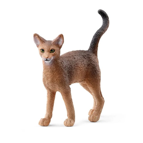 Gato Abisinio | Schleich 13964