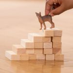 Gato Abisinio | Schleich 13964