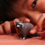 Mapache | Schleich | 14937