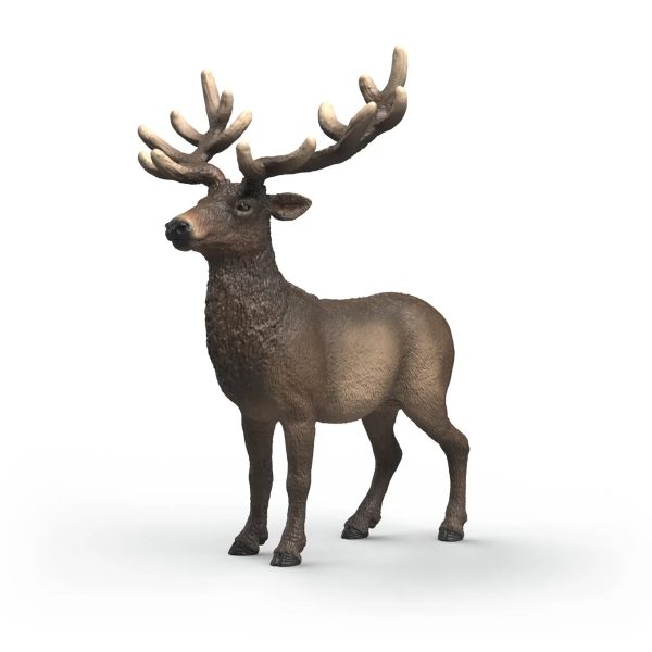 Ciervo Rojo Americano | Schleich 14992