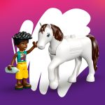 Clínica Veterinaria de Animales | Lego Friends 42696