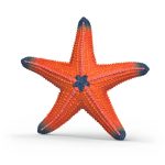 Estrella de Mar con Cambio de Color | Schleich 14902