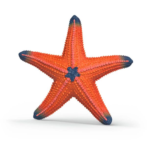 Estrella de Mar con Cambio de Color | Schleich 14902
