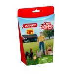 Parada de Aves | Pocket Set | Schleich 81535